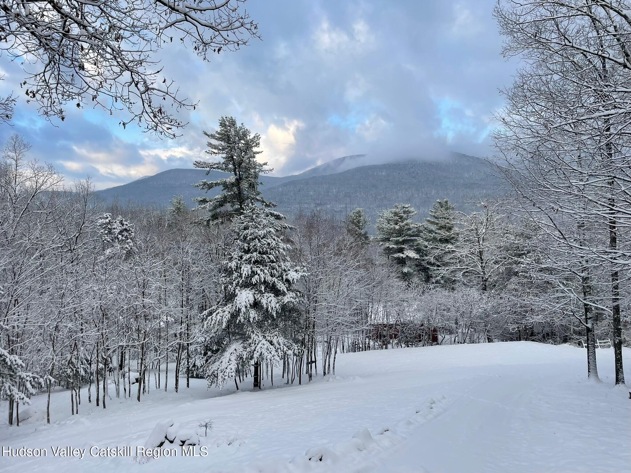 26 Carle Road Mount Tremper, NY 12457 - Photo 60 of 65 IMG_3595