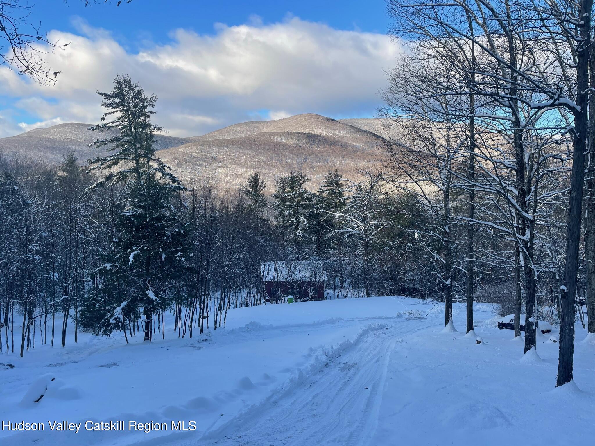 26 Carle Road Mount Tremper, NY 12457 - Photo 61 of 65 IMG_5709