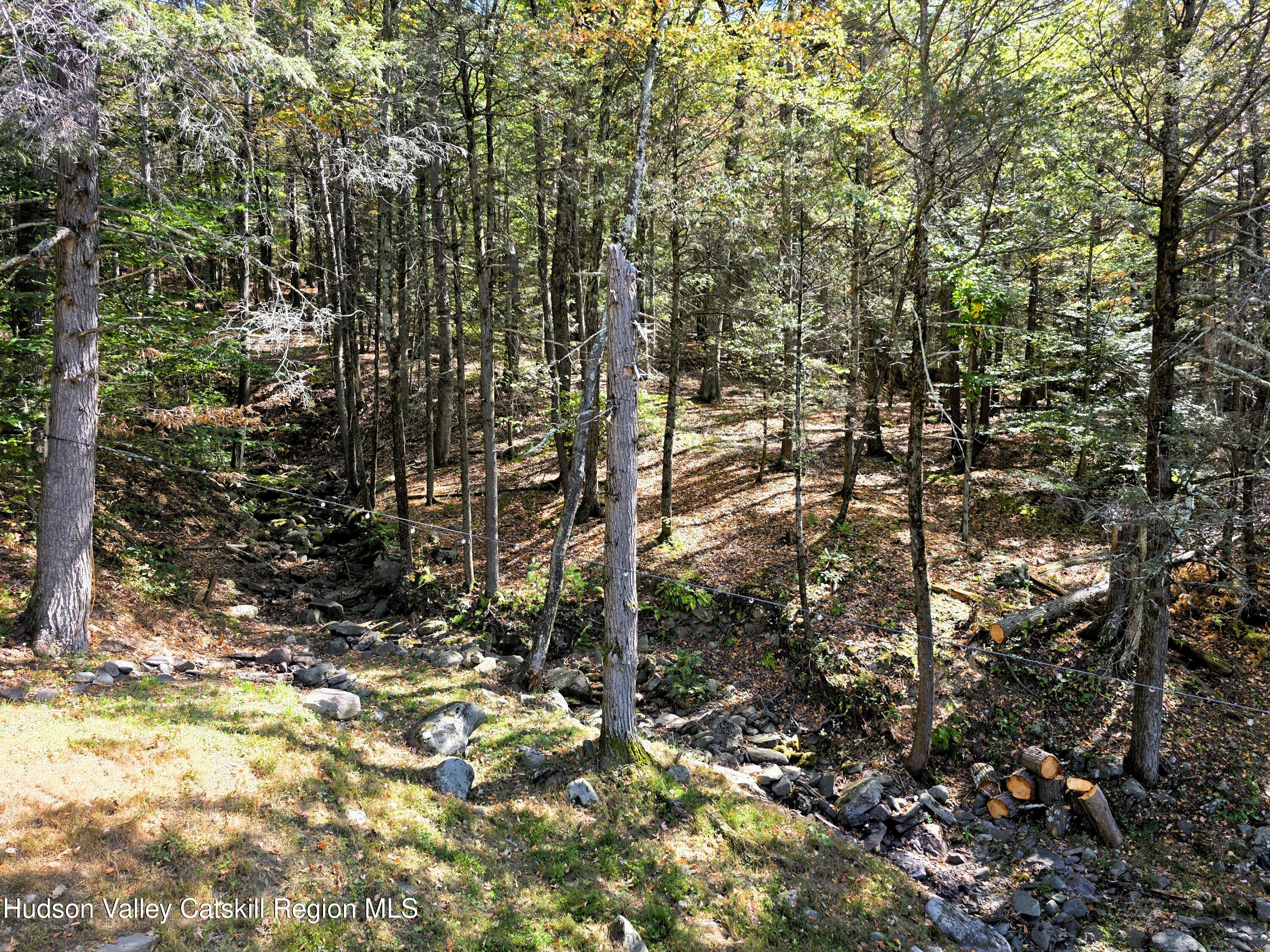 26 Carle Road Mount Tremper, NY 12457 - Photo 65 of 65 23a Seasonal Stream