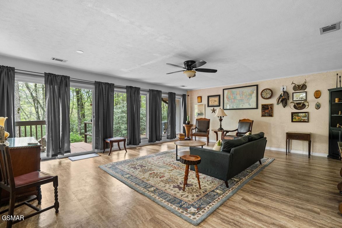 150 Hollow Road Cosby, TN 37722 - Photo 6 of 39 Gallery Image 6