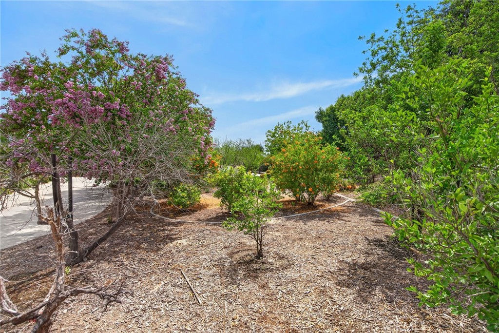 18063 Gwynn Court Riverside, CA 92508 - Photo 60 of 73 Gallery Image 60