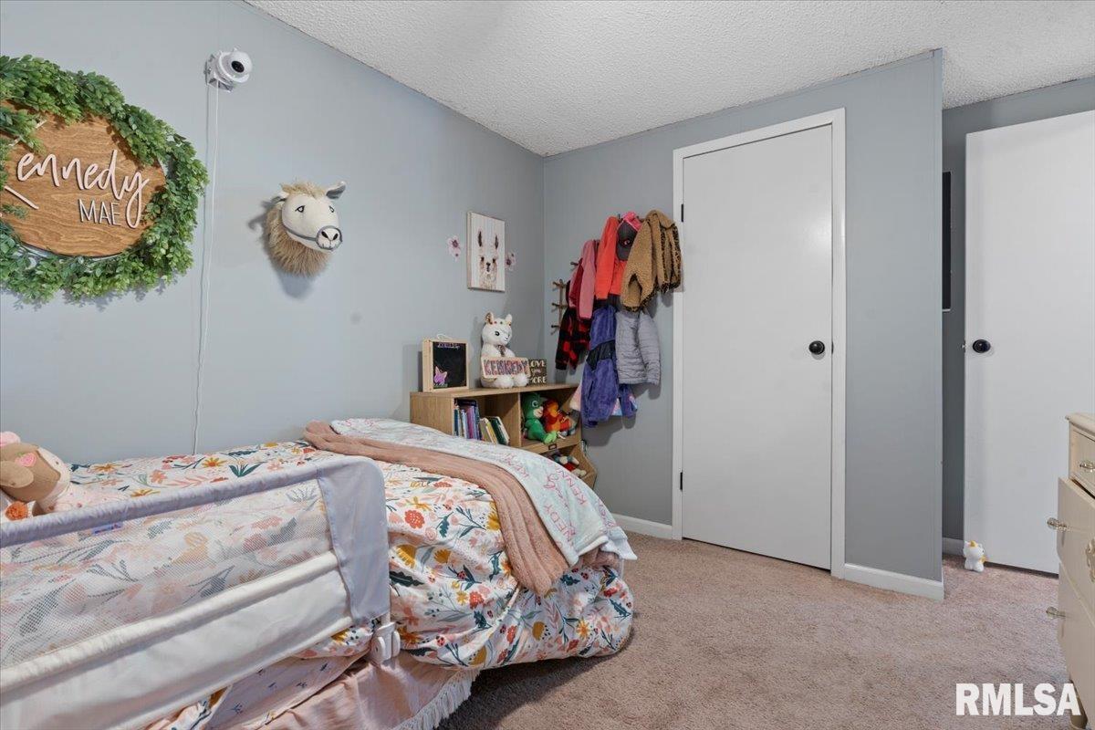 4595 Tolliver Road New Berlin, IL 62670 - Photo 23 of 39