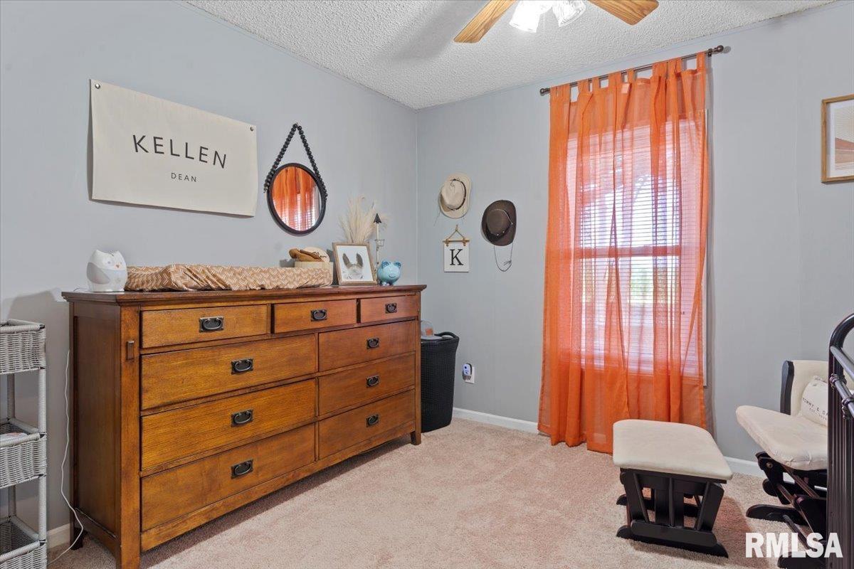 4595 Tolliver Road New Berlin, IL 62670 - Photo 25 of 39