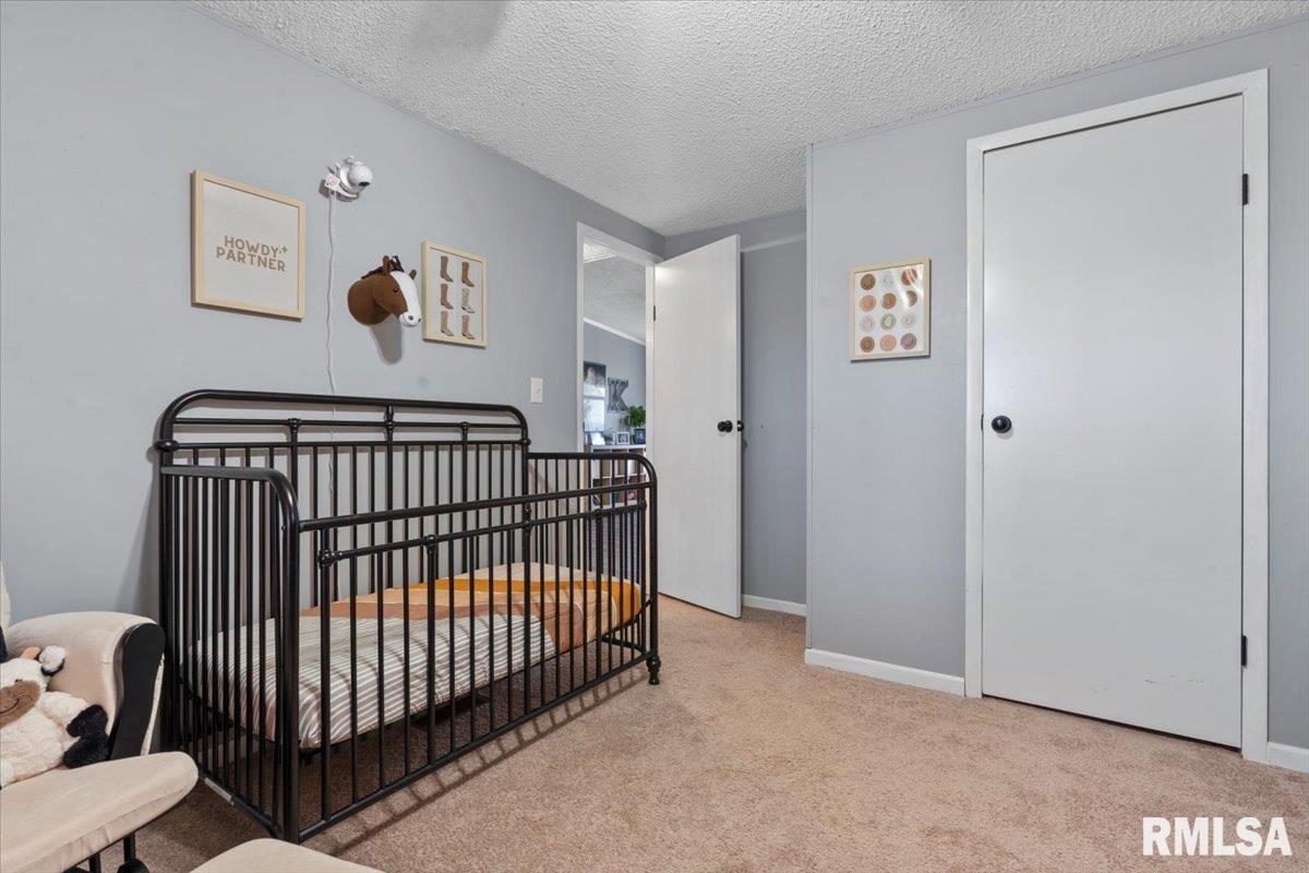4595 Tolliver Road New Berlin, IL 62670 - Photo 26 of 39