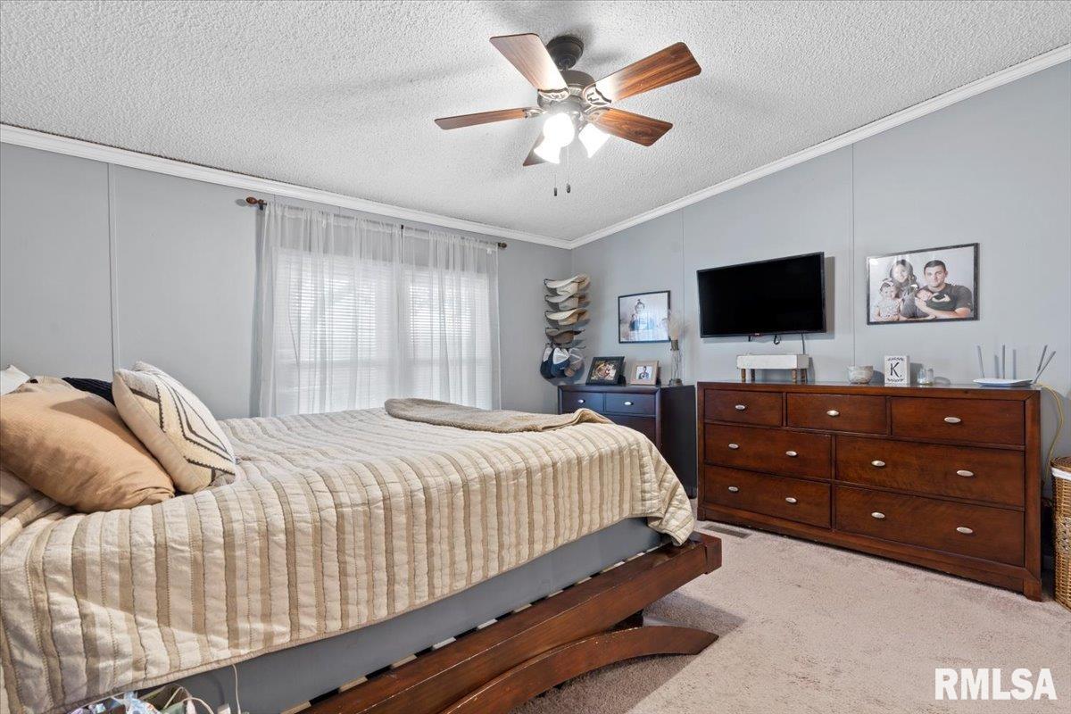 4595 Tolliver Road New Berlin, IL 62670 - Photo 27 of 39