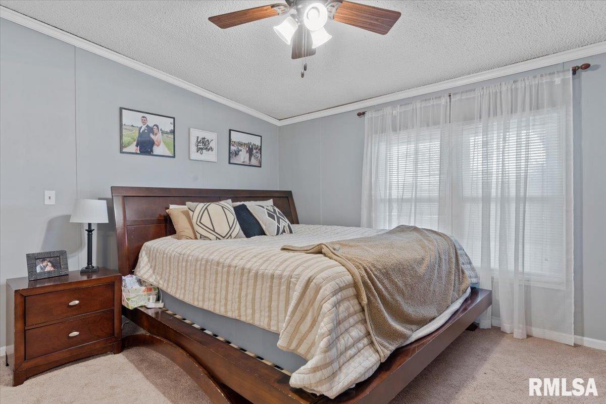 4595 Tolliver Road New Berlin, IL 62670 - Photo 28 of 39