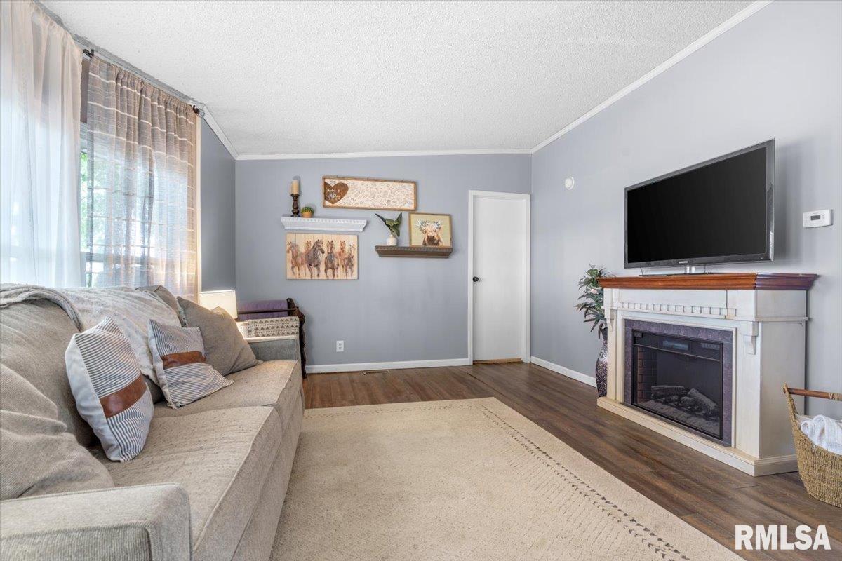 4595 Tolliver Road New Berlin, IL 62670 - Photo 7 of 39