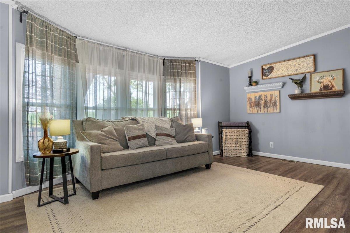 4595 Tolliver Road New Berlin, IL 62670 - Photo 8 of 39