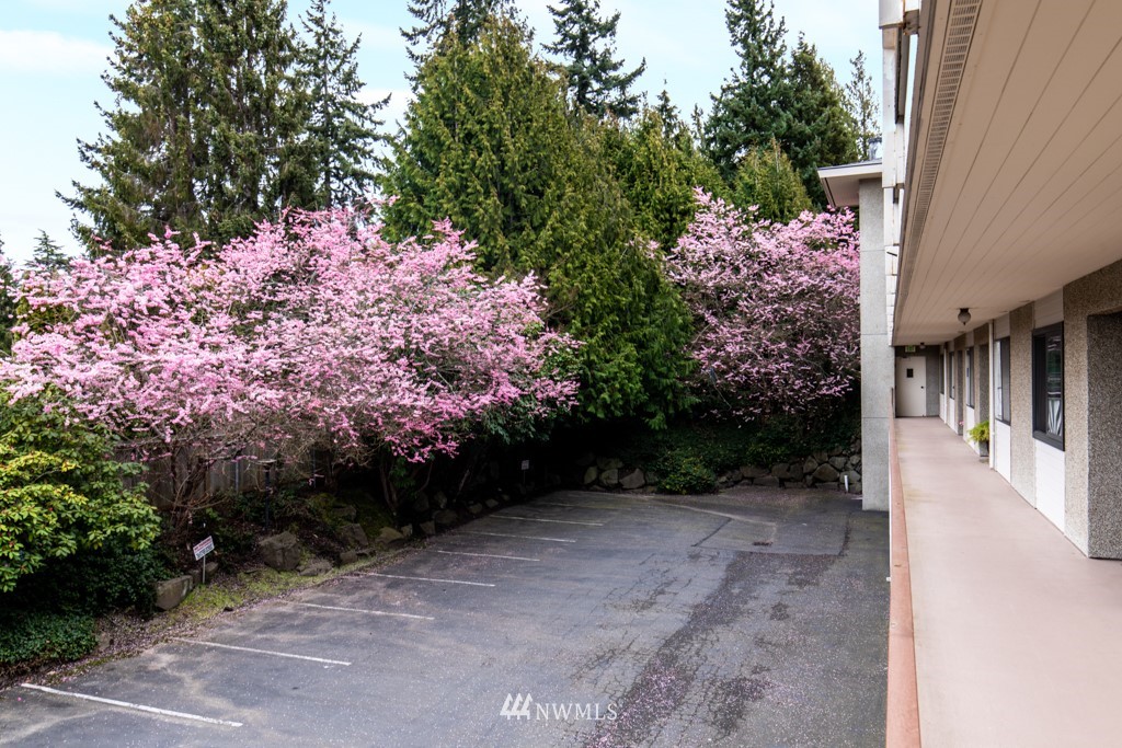 1414 9th Avenue North, Unit 101 Edmonds, WA 98020 - Photo 25 of 26