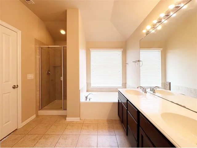 a bathroom with a tub sink vanity and a mirror