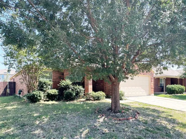 a tree in front of a white house
