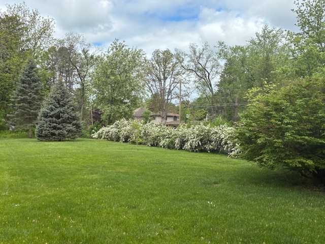 210 North Wheeling Road Prospect Heights, IL 60070 - Photo 27 of 27 Gallery Image 27