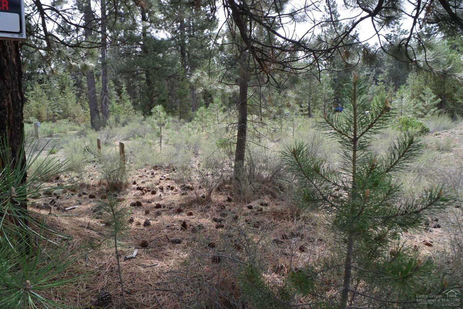 15891 Jackpine Road La Pine, OR 97739 - Photo 11 of 25 Additional Photo