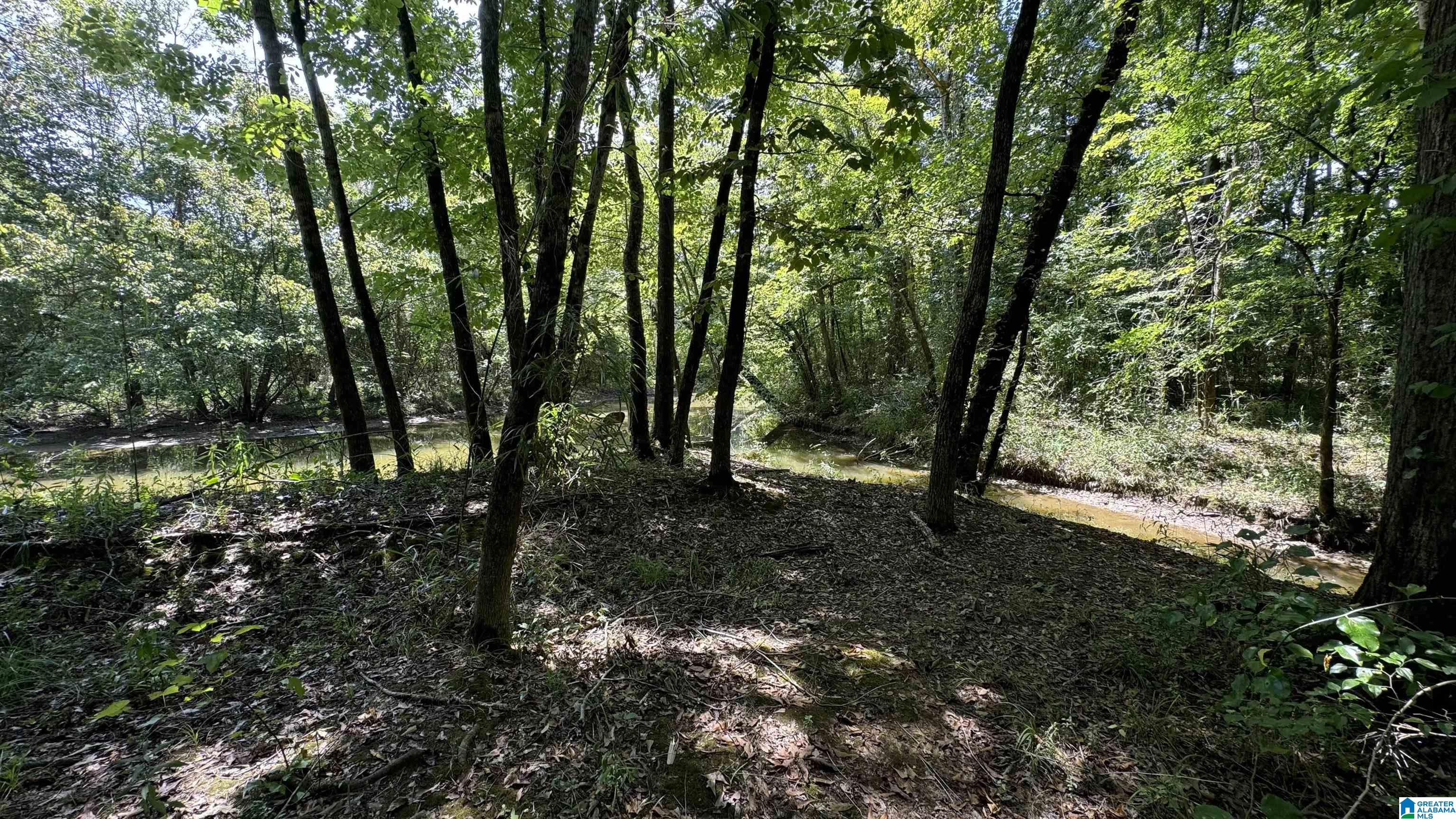 600 Wester Drive, Unit 22 Ragland, AL 35131 - Photo 70 of 96 Gallery Image 70