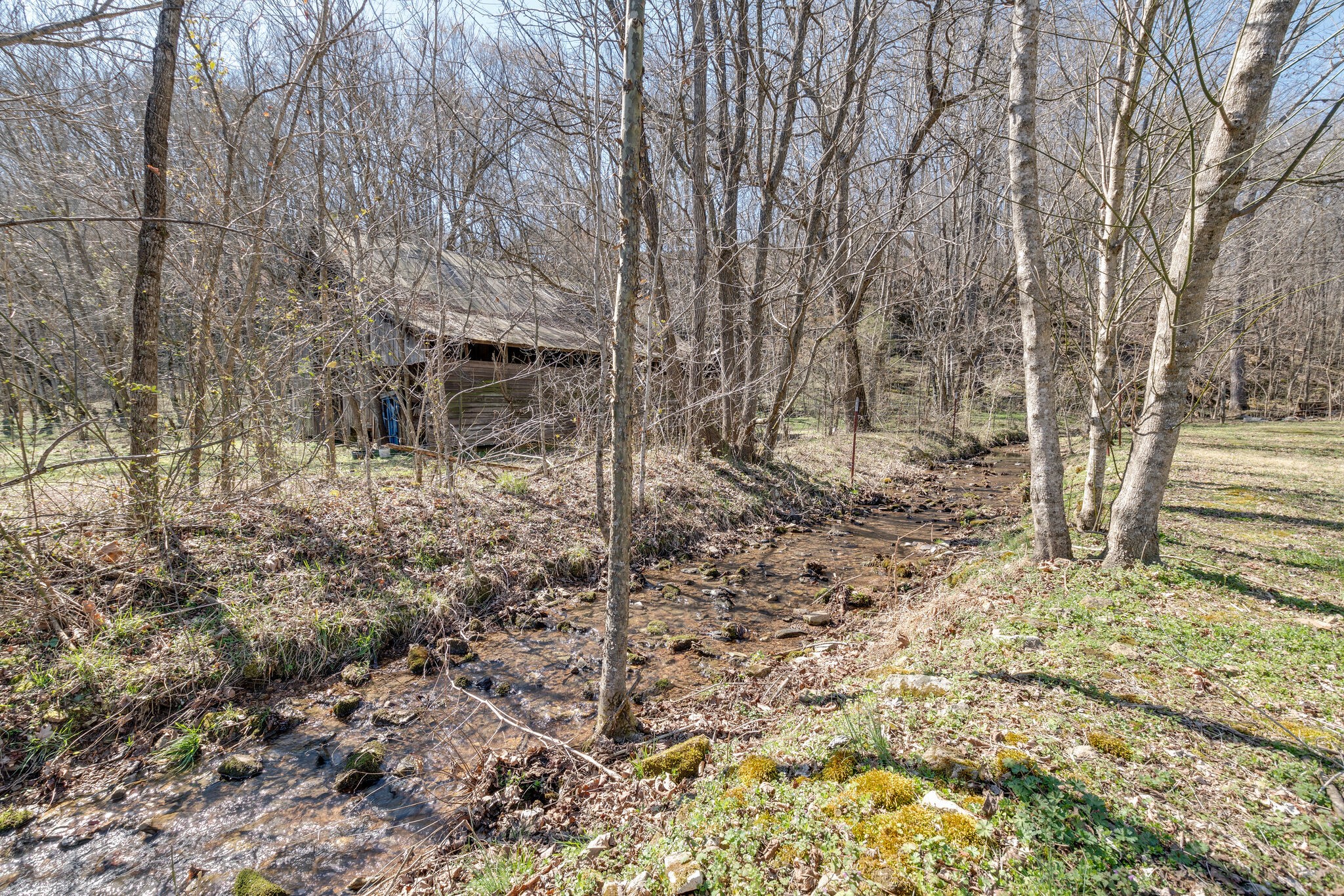 1730 Rockhouse Road Hohenwald, TN 38462 - Photo 22 of 47 Gallery Image 22