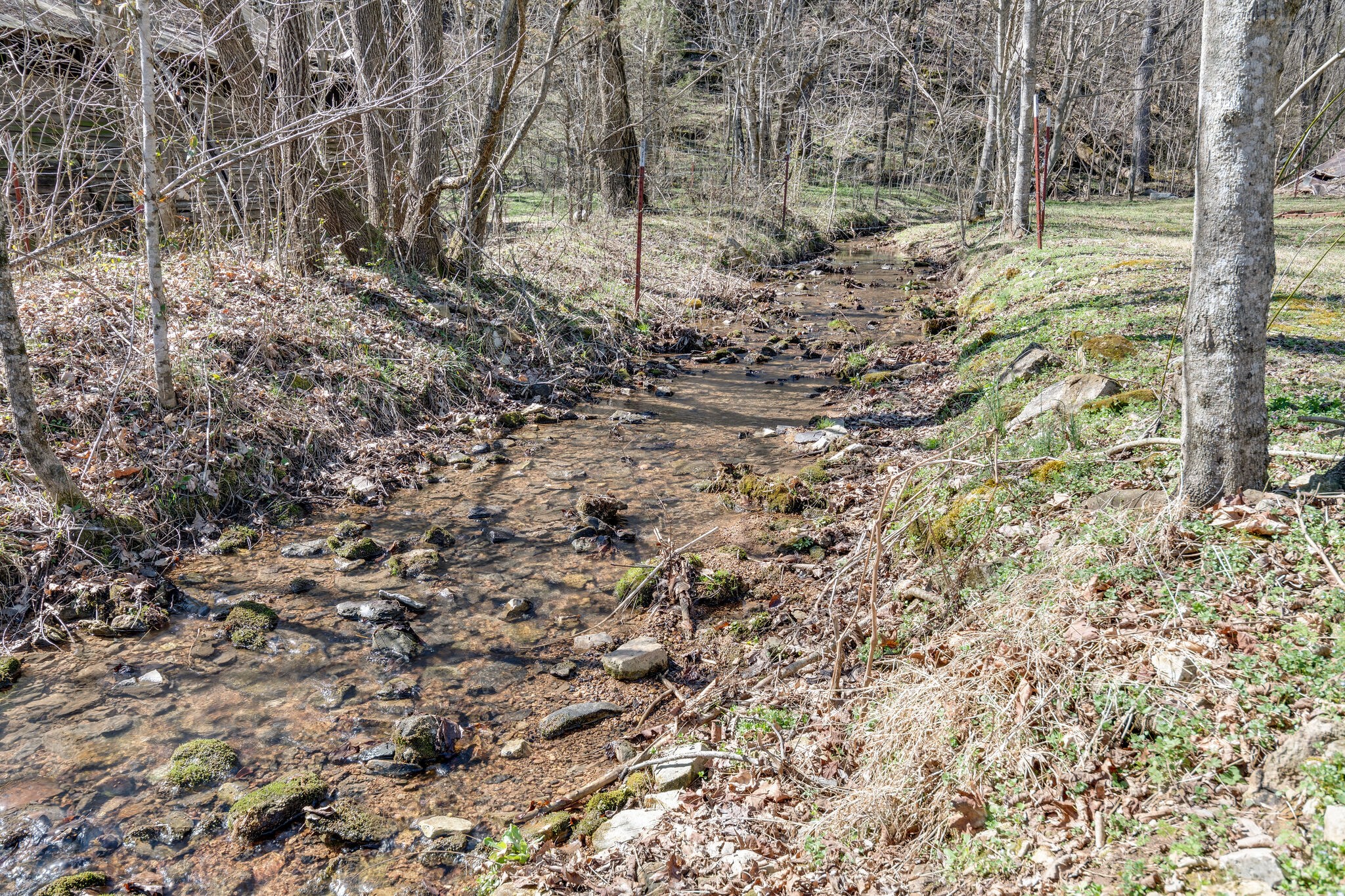 1730 Rockhouse Road Hohenwald, TN 38462 - Photo 23 of 47 Gallery Image 23