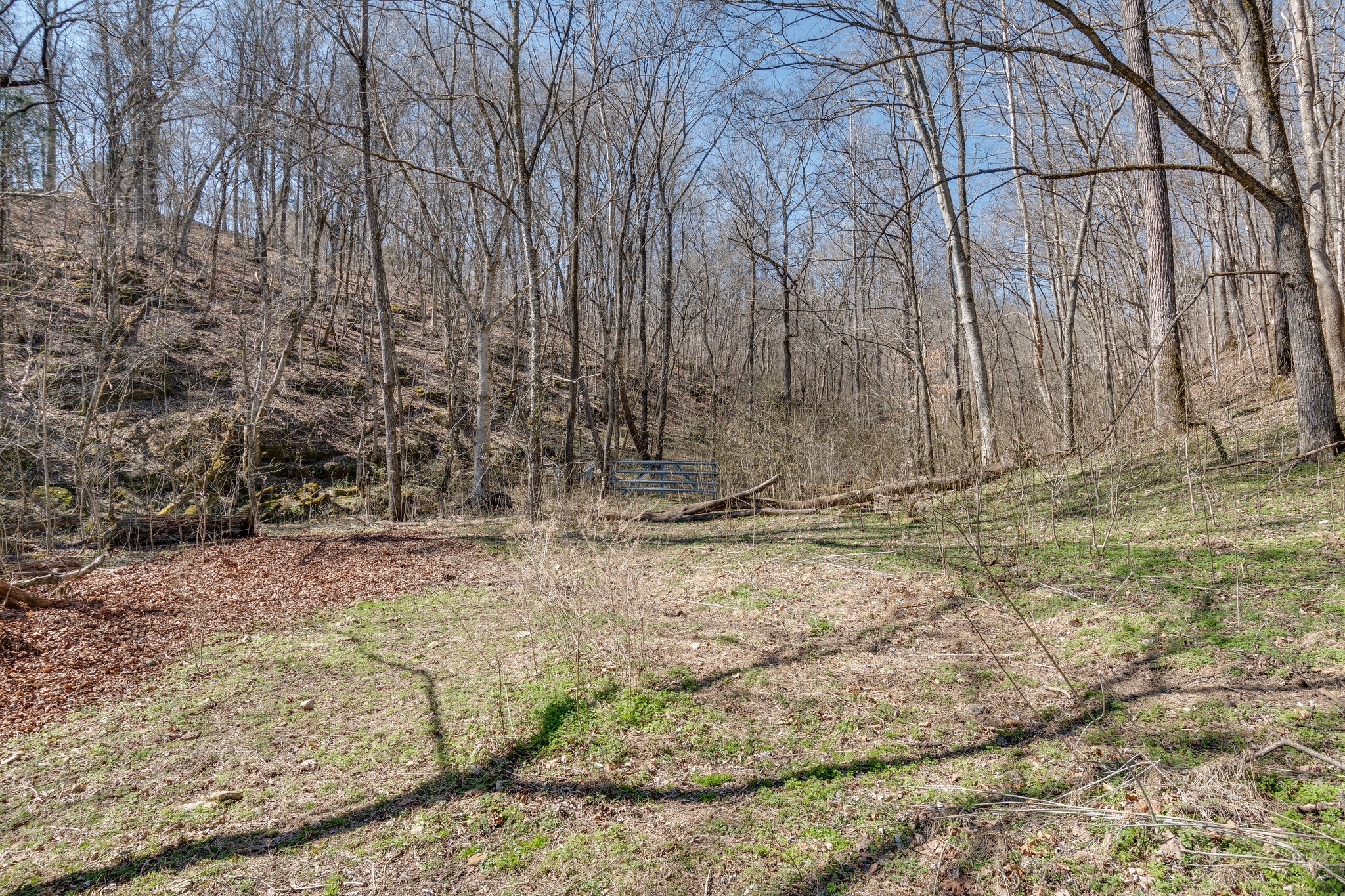 1730 Rockhouse Road Hohenwald, TN 38462 - Photo 24 of 47 Gallery Image 24