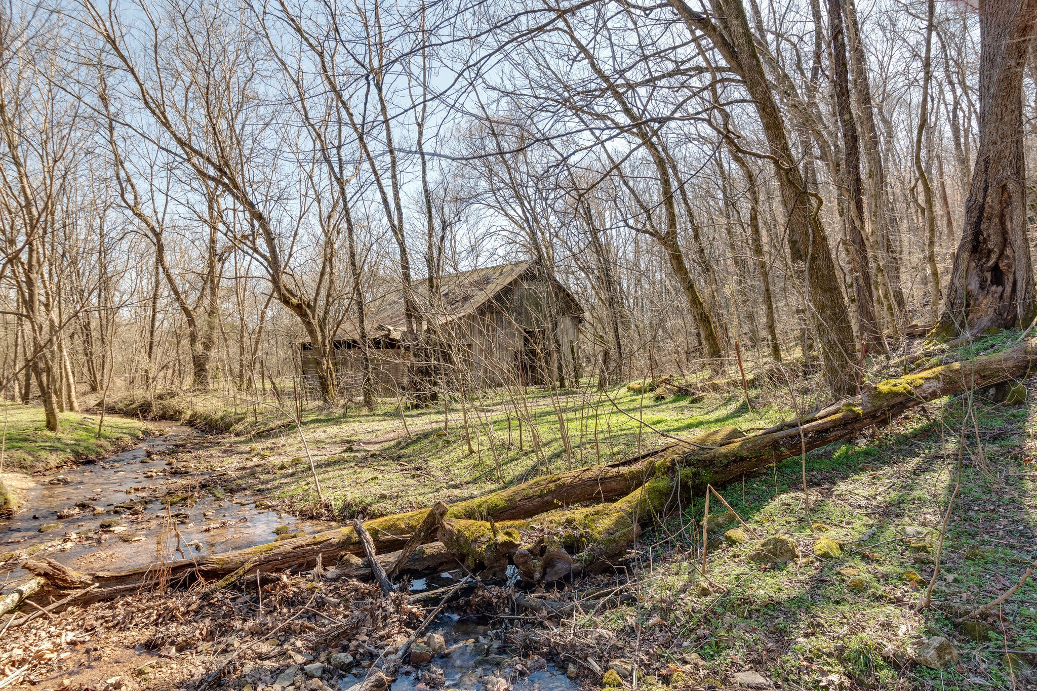 1730 Rockhouse Road Hohenwald, TN 38462 - Photo 25 of 47 Gallery Image 25