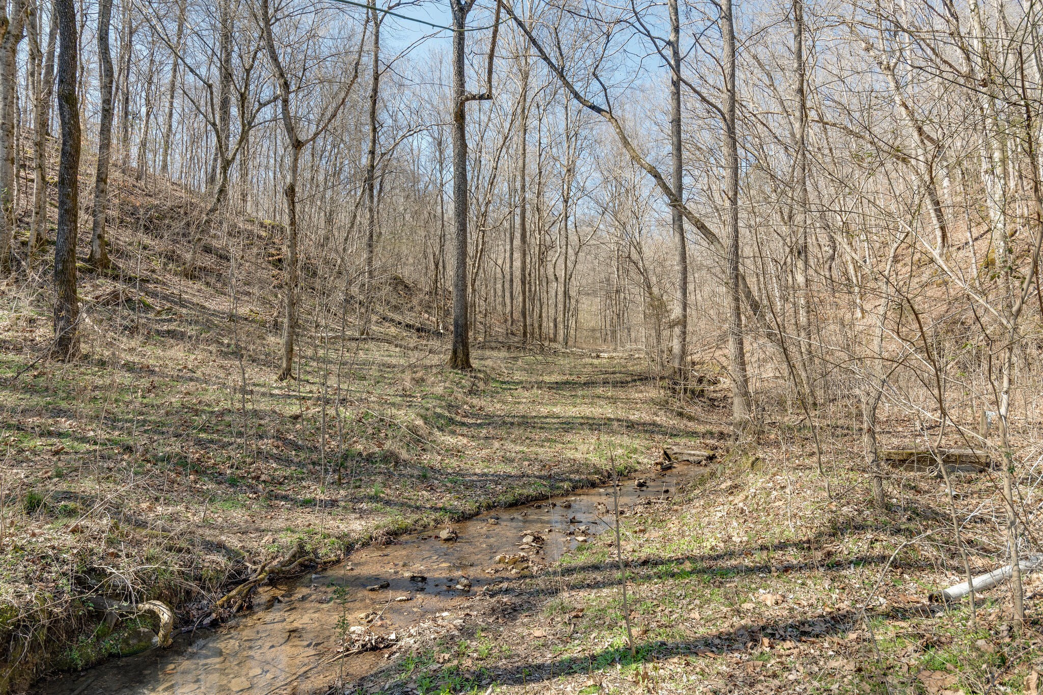 1730 Rockhouse Road Hohenwald, TN 38462 - Photo 27 of 47 Gallery Image 27