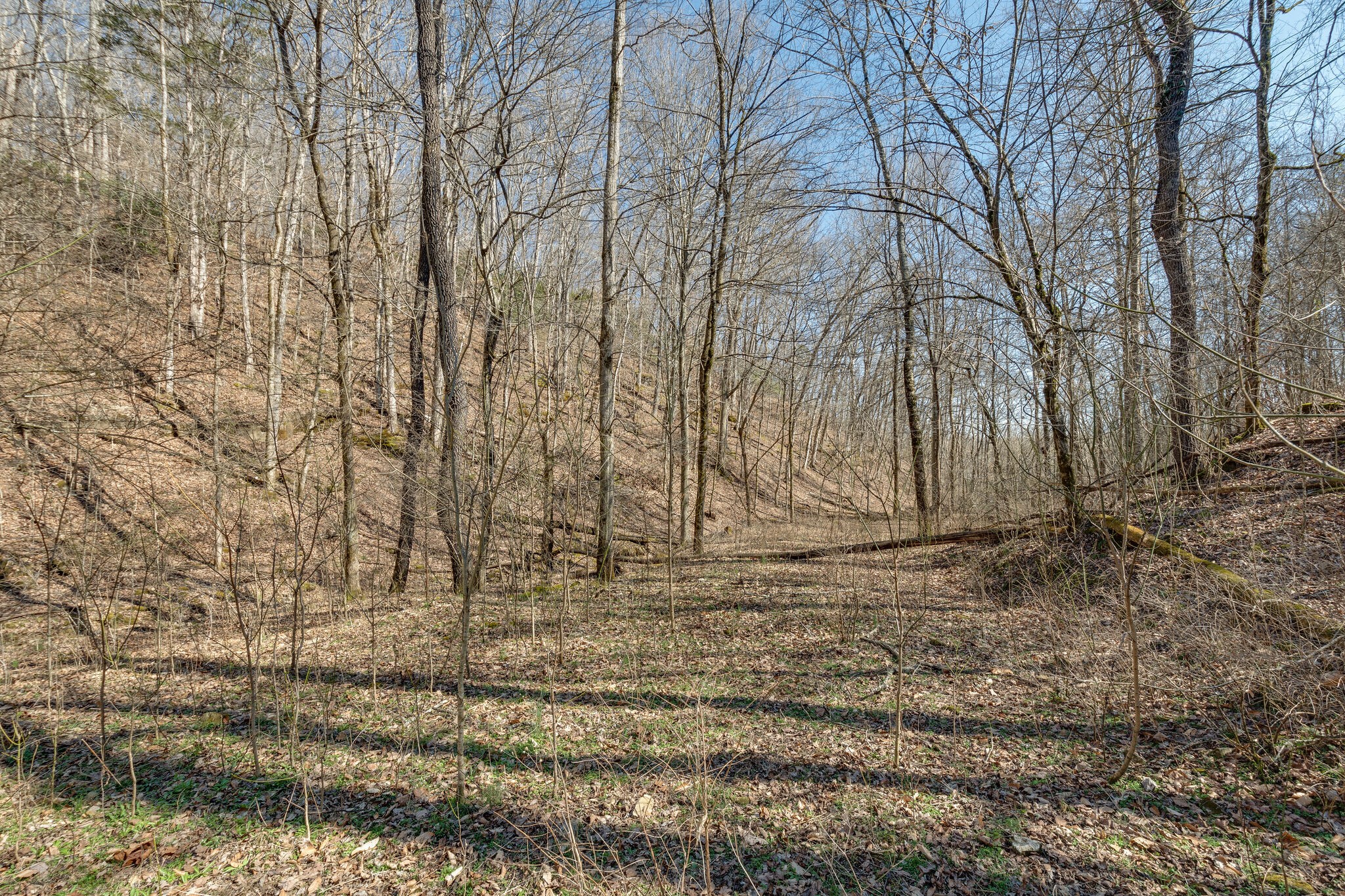 1730 Rockhouse Road Hohenwald, TN 38462 - Photo 28 of 47 Gallery Image 28