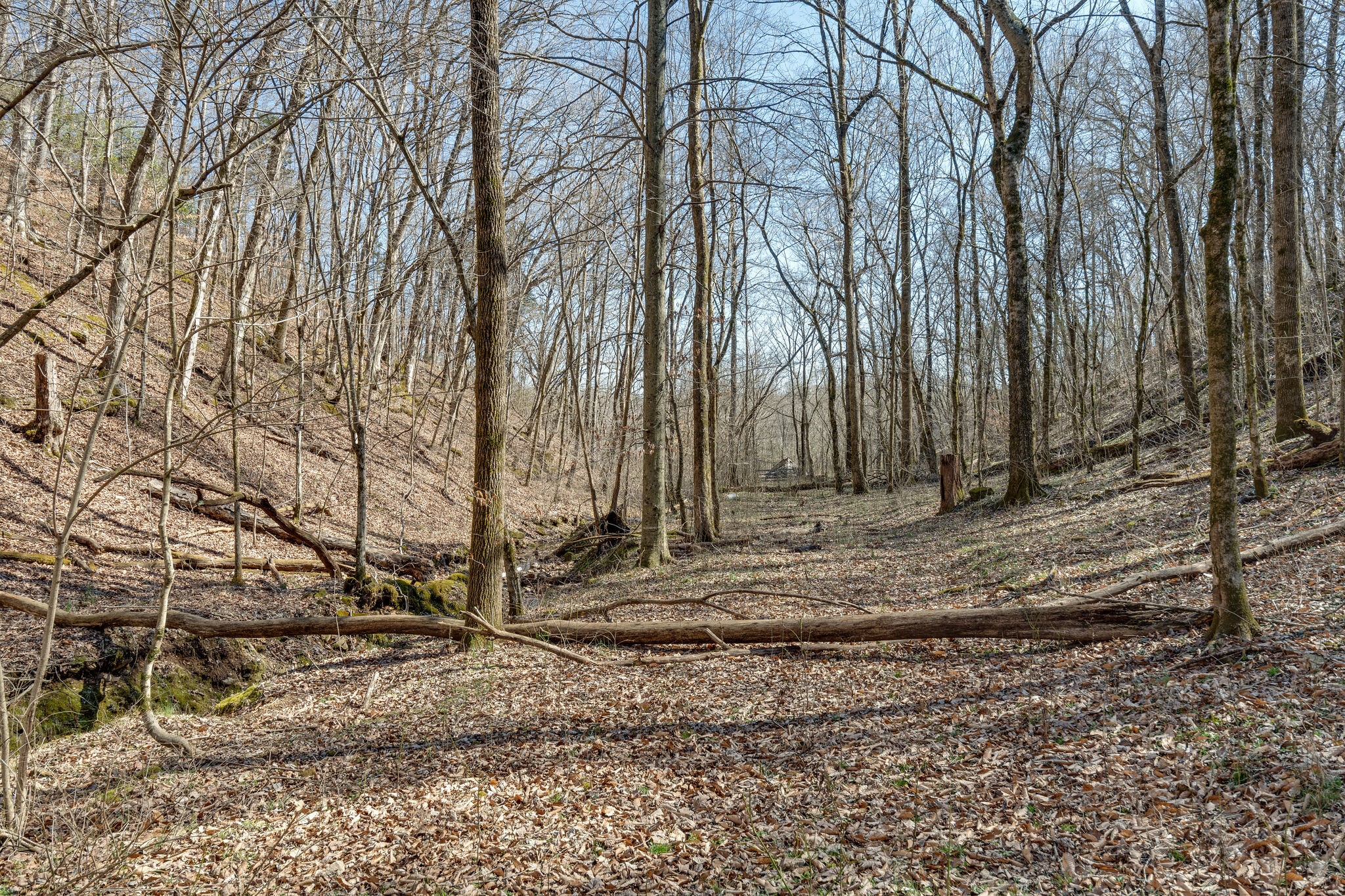 1730 Rockhouse Road Hohenwald, TN 38462 - Photo 29 of 47 Gallery Image 29