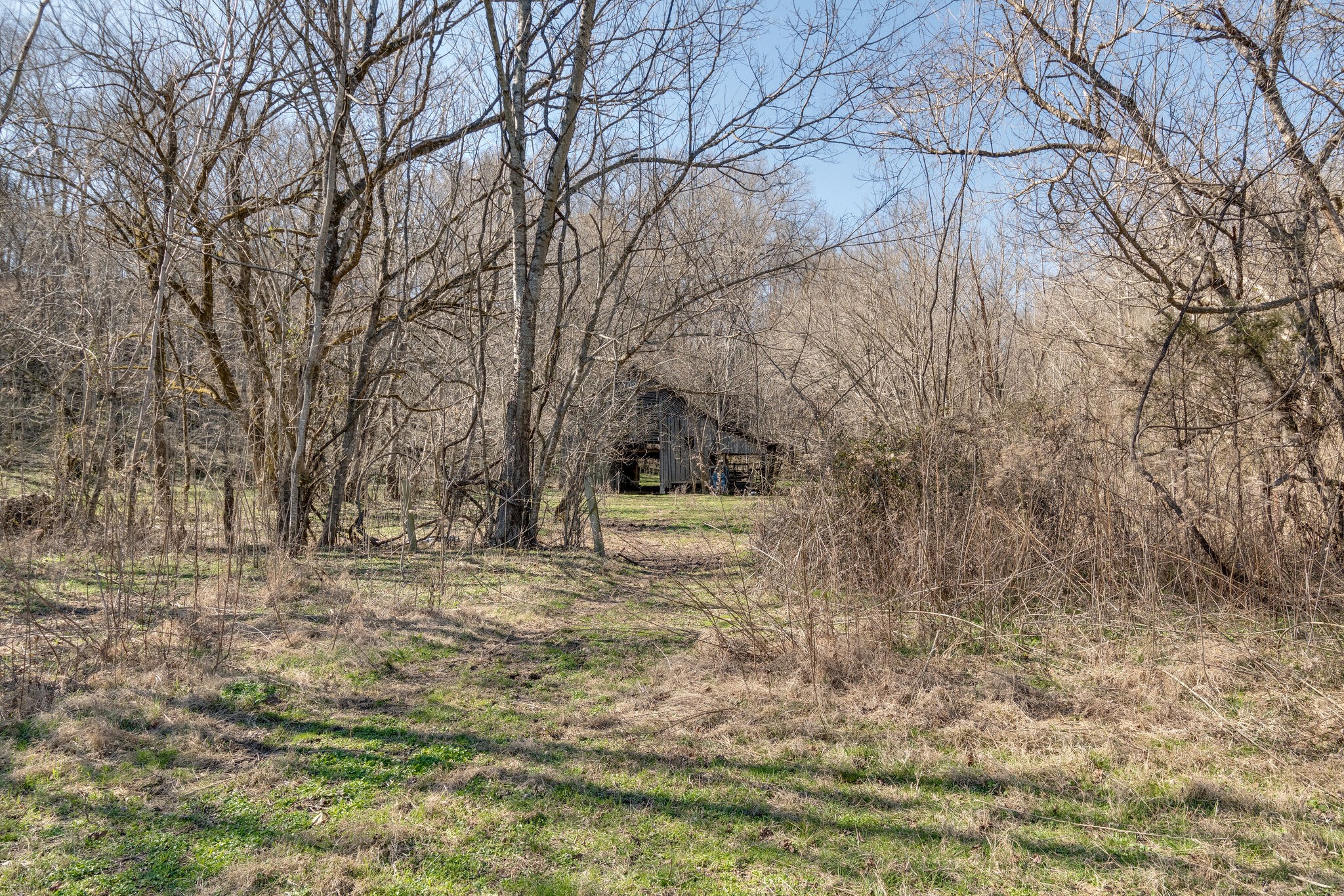 1730 Rockhouse Road Hohenwald, TN 38462 - Photo 32 of 47 Gallery Image 32