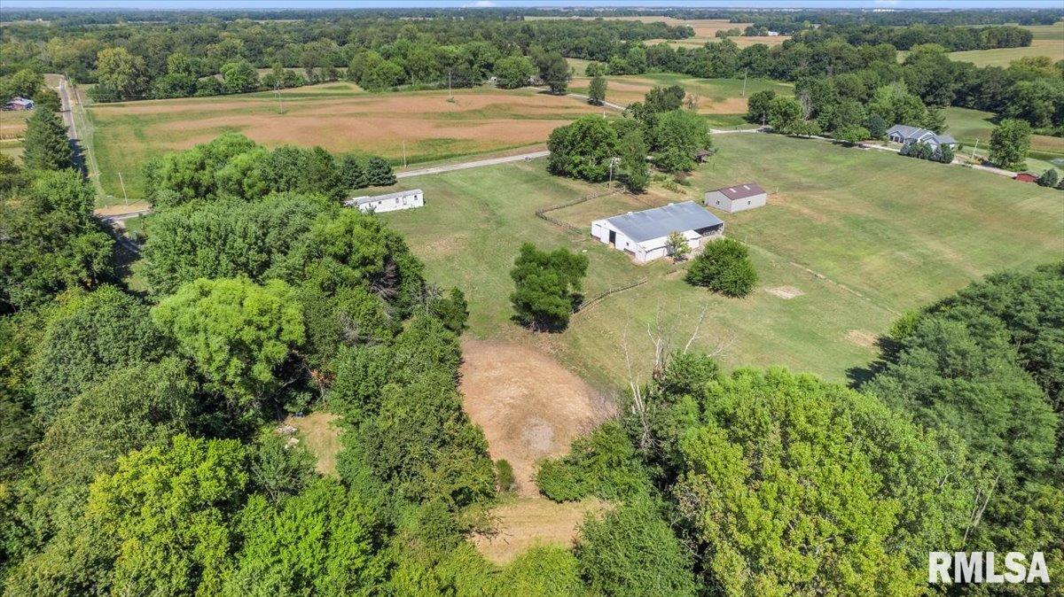 20033 Sunny Acres Road Petersburg, IL 62675 - Photo 11 of 25 Gallery Image 11