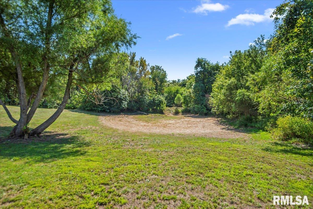20033 Sunny Acres Road Petersburg, IL 62675 - Photo 19 of 25 Gallery Image 19