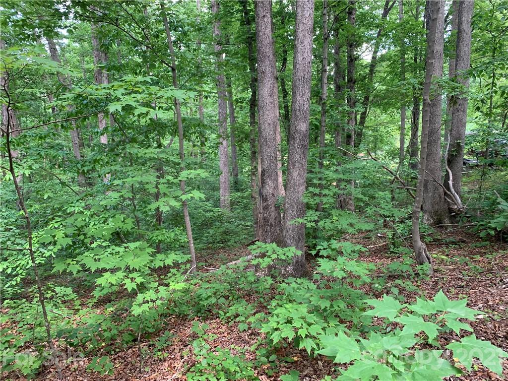 5133 Scott Road Morganton, NC 28655 - Photo 11 of 13 Gallery Image 11