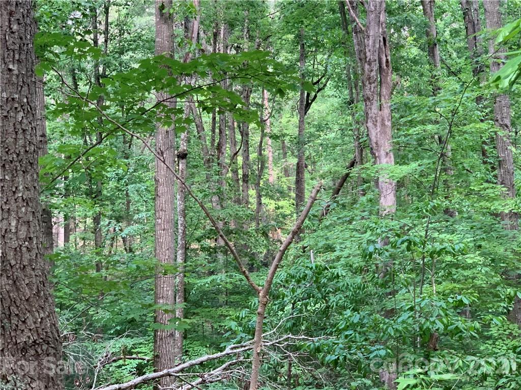 5133 Scott Road Morganton, NC 28655 - Photo 12 of 13 Gallery Image 12