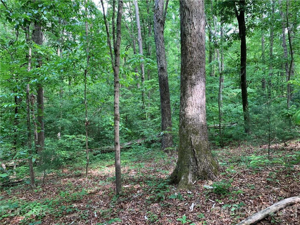 5133 Scott Road Morganton, NC 28655 - Photo 7 of 13 Gallery Image 7
