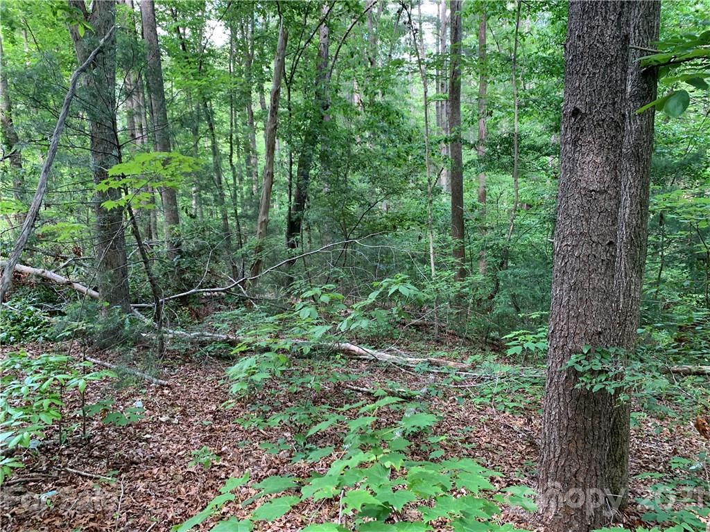 5133 Scott Road Morganton, NC 28655 - Photo 8 of 13 Gallery Image 8