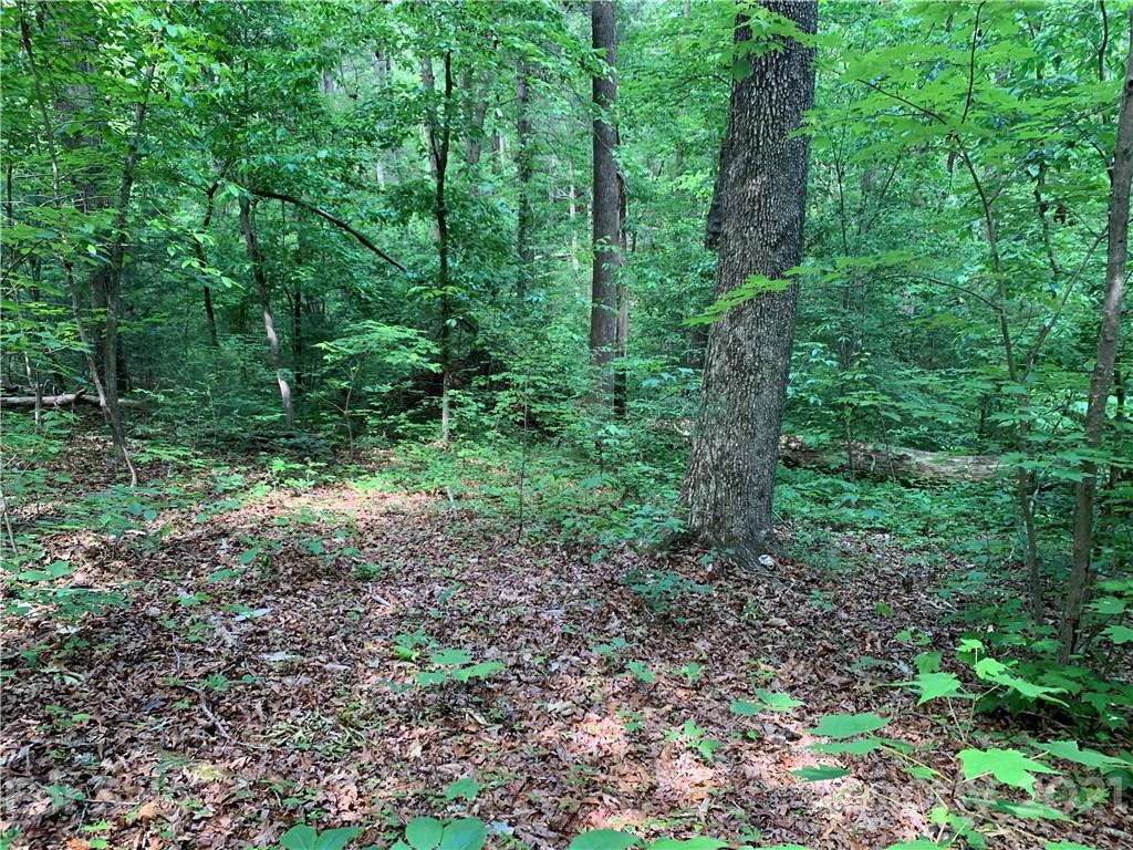 5133 Scott Road Morganton, NC 28655 - Photo 9 of 13 Gallery Image 9