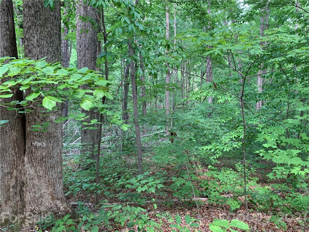 5133 Scott Road Morganton, NC 28655 - Photo 10 of 13 Gallery Image 10