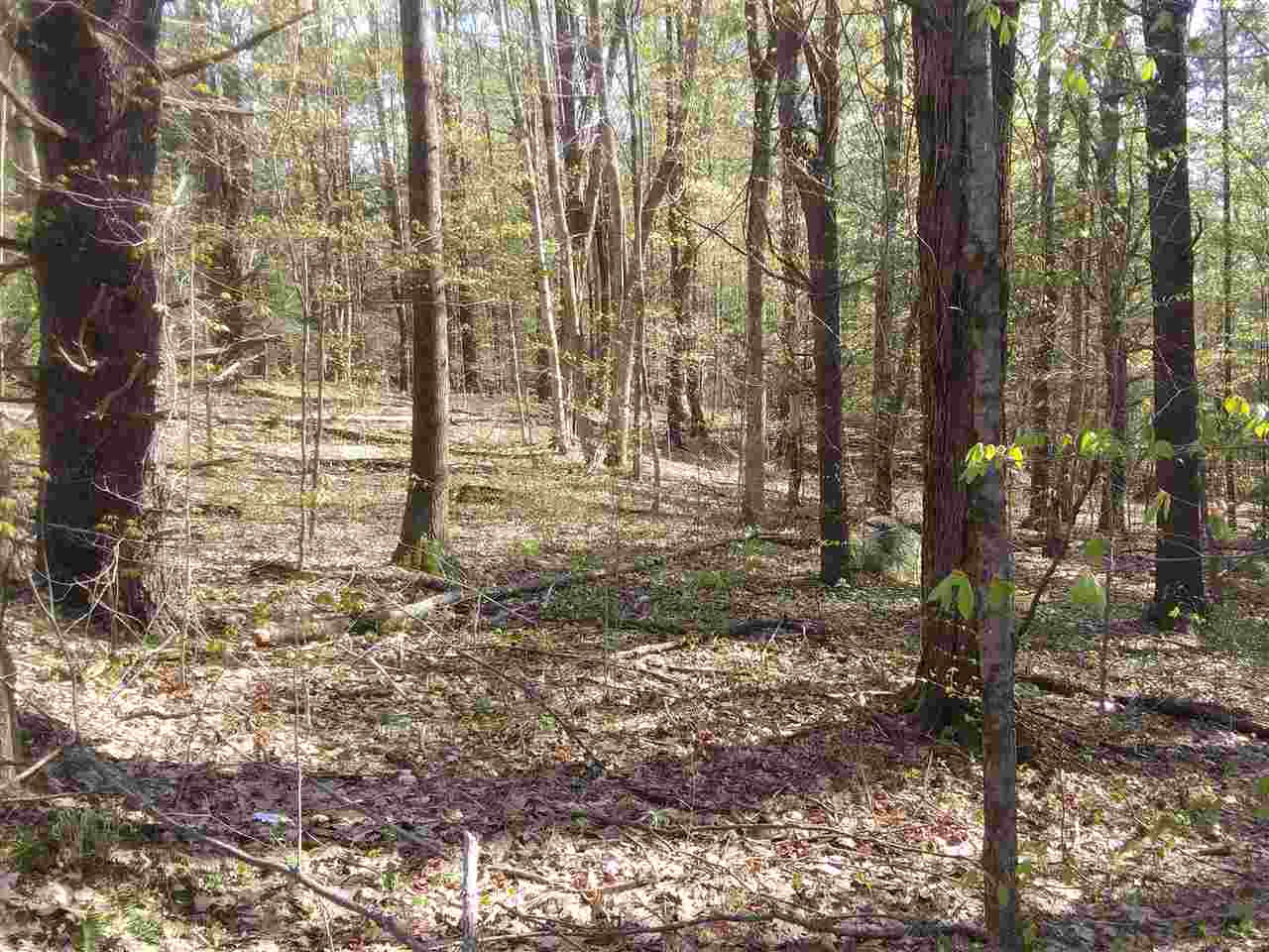 63 Watson Road Winchester, NH 03470 - Photo 1 of 3