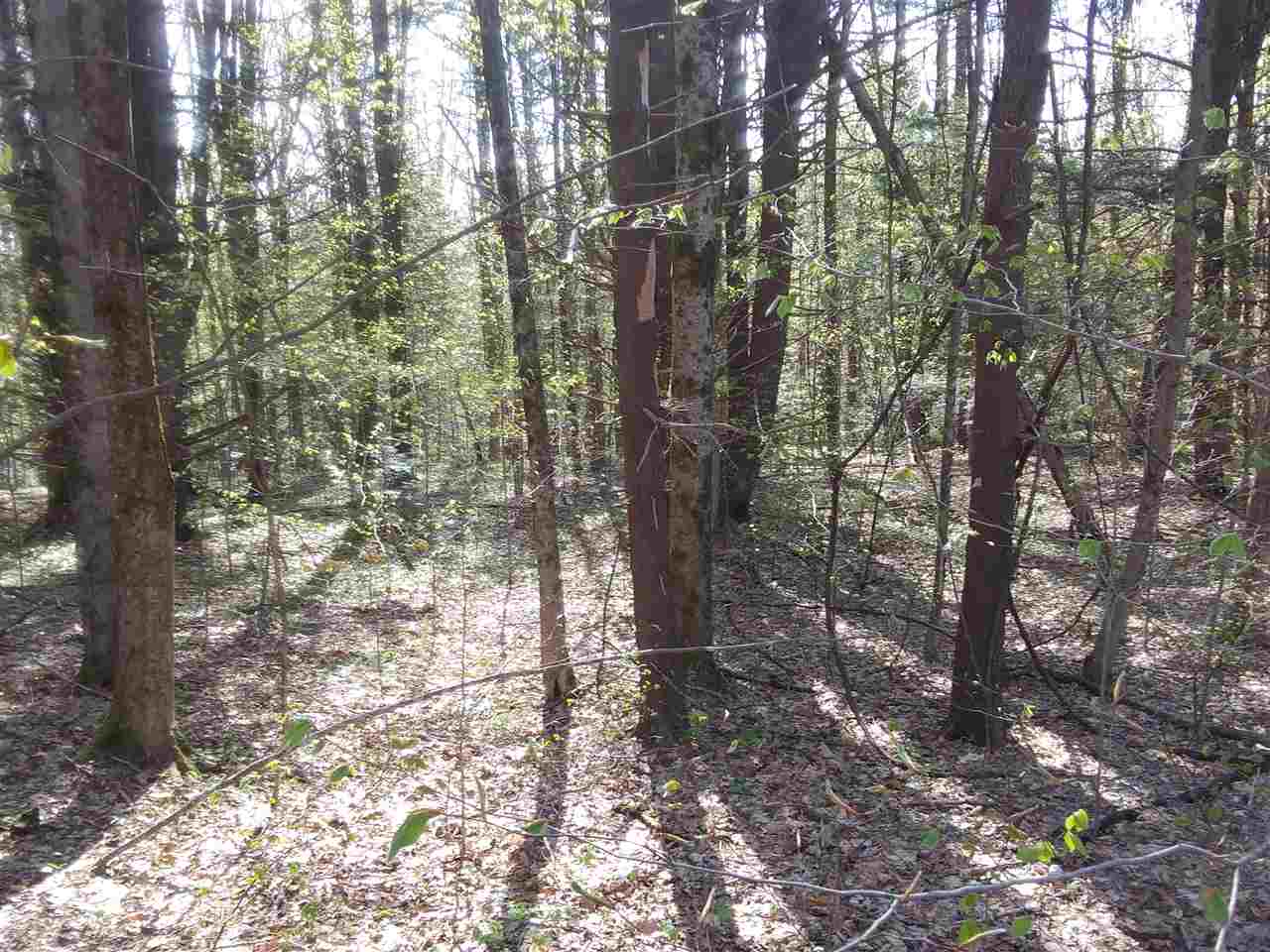 63 Watson Road Winchester, NH 03470 - Photo 2 of 3