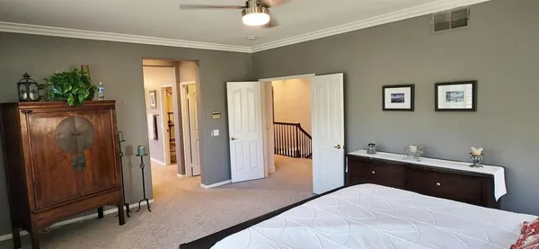 a bedroom with a bed and a potted plant