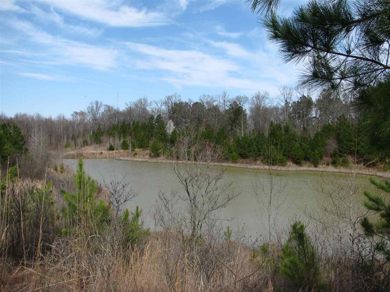 1428 Gilchrist Road Adamsville, TN 38310 - Photo 1 of 18 Gallery Image 1