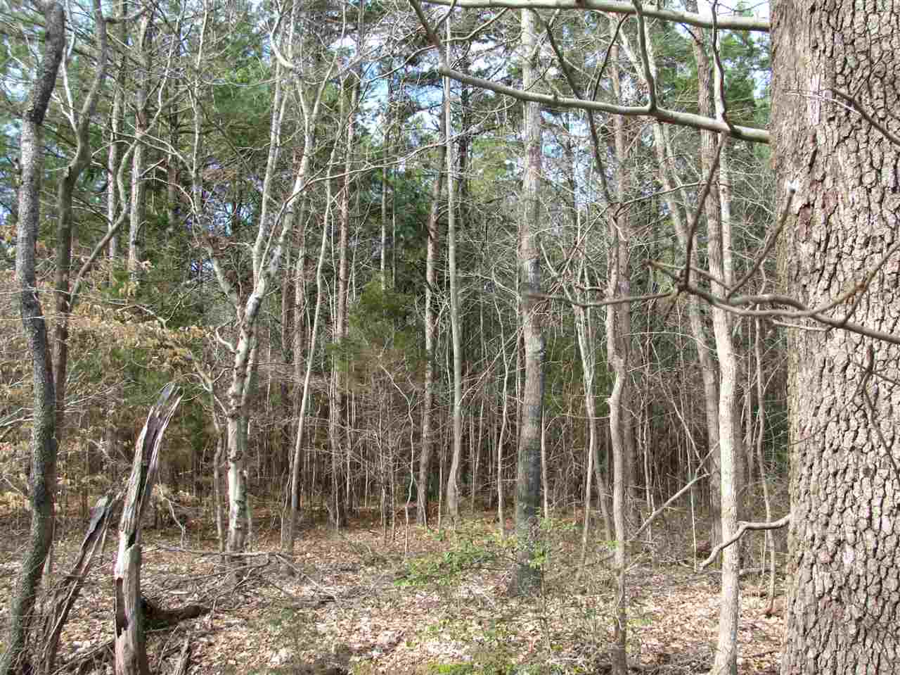 1428 Gilchrist Road Adamsville, TN 38310 - Photo 12 of 18 Gallery Image 12