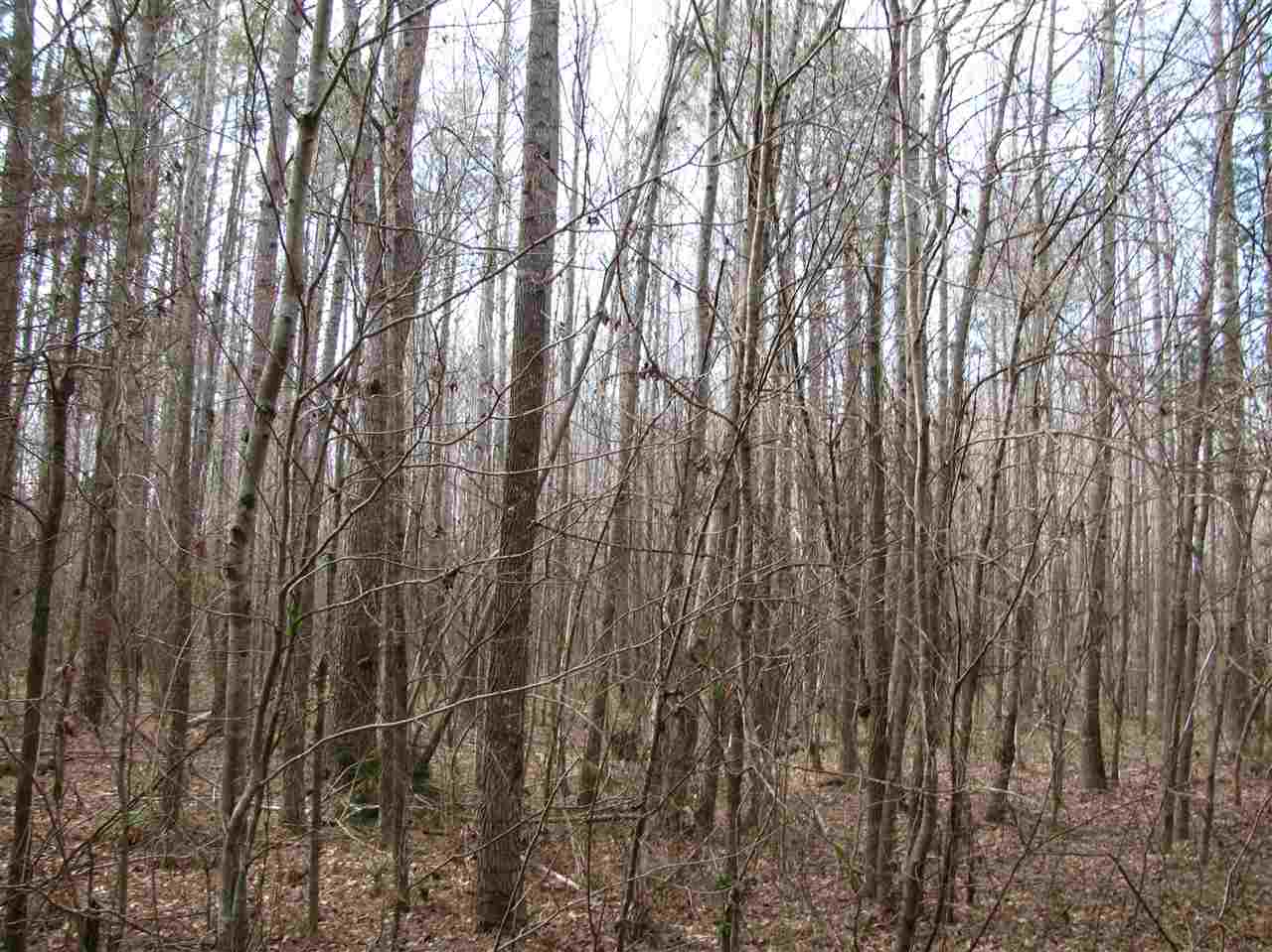 1428 Gilchrist Road Adamsville, TN 38310 - Photo 13 of 18 Gallery Image 13