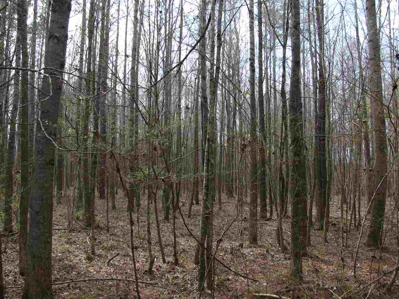 1428 Gilchrist Road Adamsville, TN 38310 - Photo 14 of 18 Gallery Image 14
