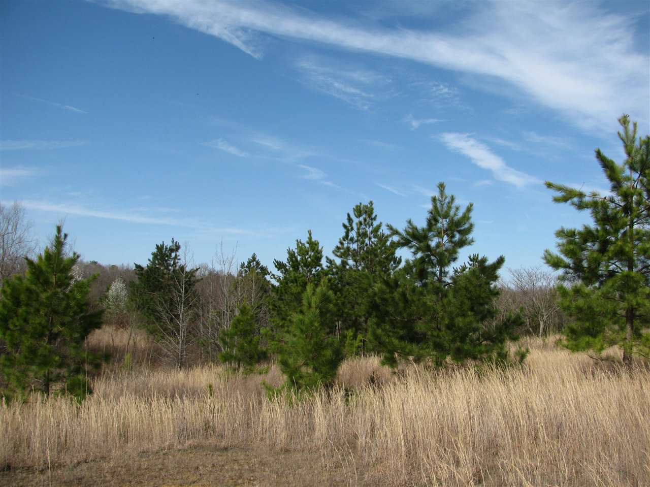 1428 Gilchrist Road Adamsville, TN 38310 - Photo 16 of 18 Gallery Image 16