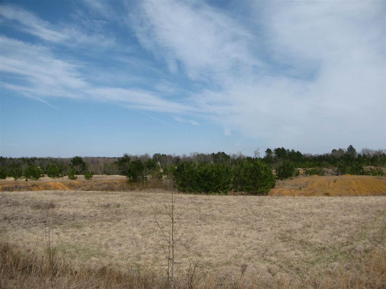1428 Gilchrist Road Adamsville, TN 38310 - Photo 3 of 18 Gallery Image 3