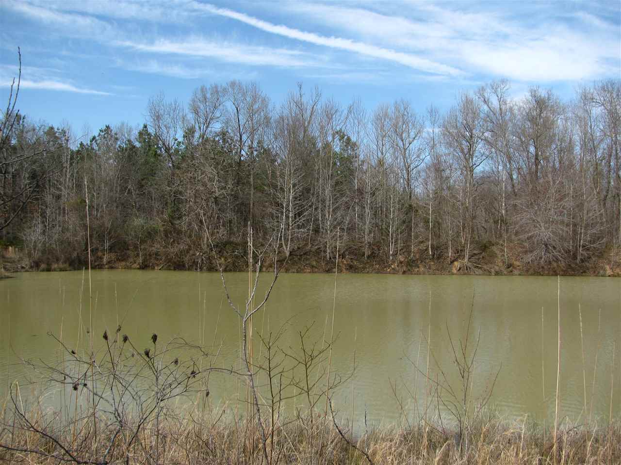 1428 Gilchrist Road Adamsville, TN 38310 - Photo 8 of 18 Gallery Image 8