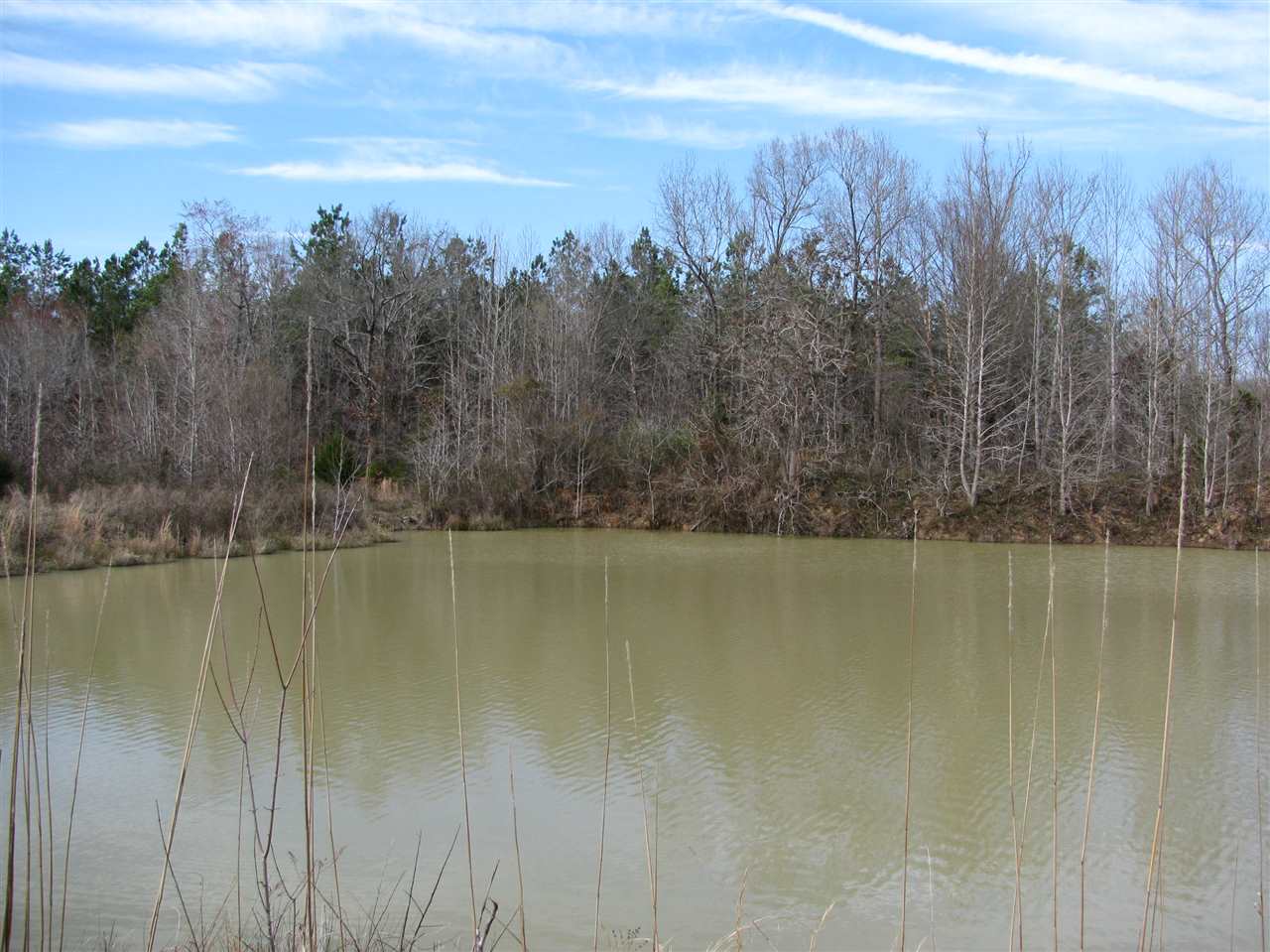 1428 Gilchrist Road Adamsville, TN 38310 - Photo 9 of 18 Gallery Image 9