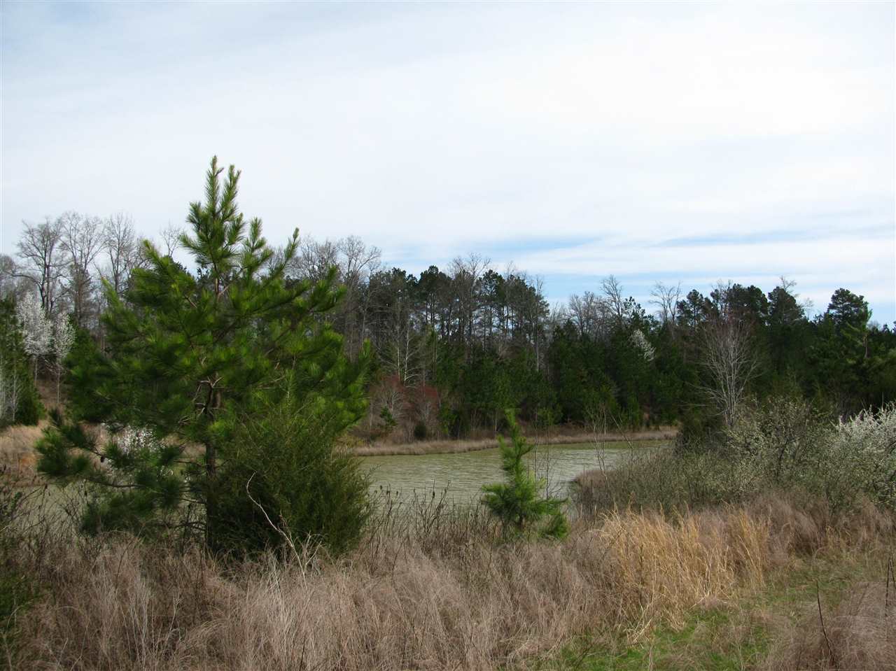 1428 Gilchrist Road Adamsville, TN 38310 - Photo 10 of 18 Gallery Image 10