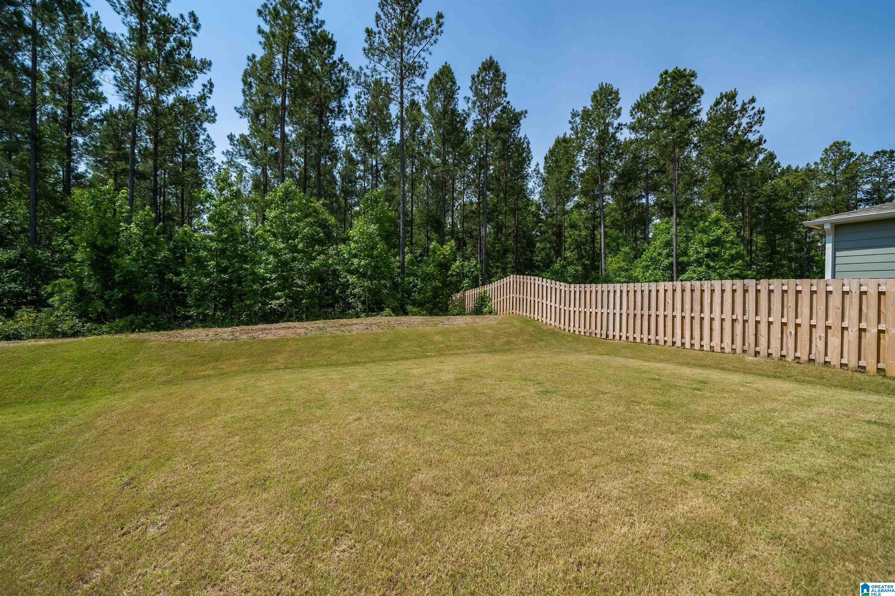 207 Chelsea Park Road Chelsea, AL 35043 - Photo 28 of 28
