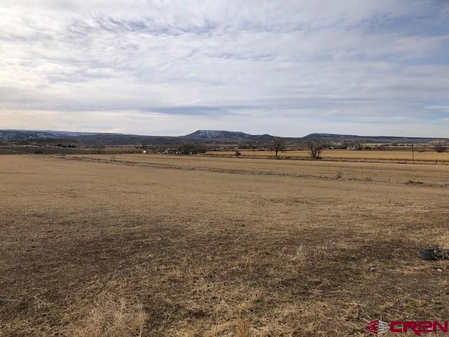 1862 9 Road Mack, CO 81525 - Photo 19 of 26 a view of an ocean