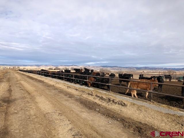 1862 9 Road Mack, CO 81525 - Photo 23 of 26