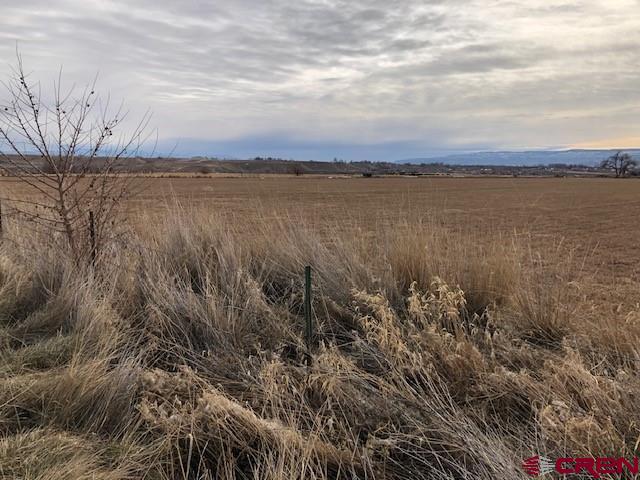 1862 9 Road Mack, CO 81525 - Photo 24 of 26 a view of a lake with houses in back